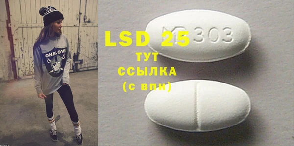 ПСИЛОЦИБИНОВЫЕ ГРИБЫ Богданович