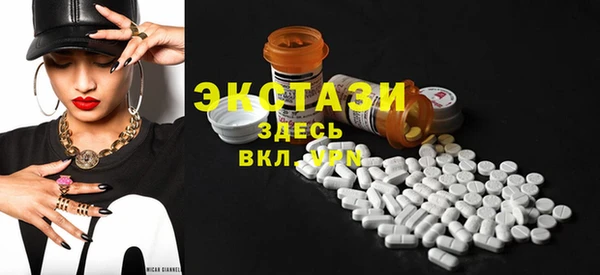гидра Богородицк
