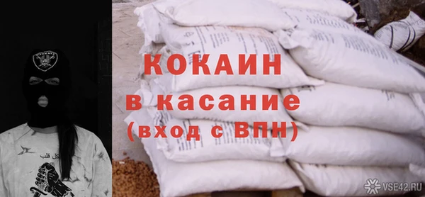 гидра Богородицк