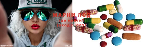 гидра Богородицк
