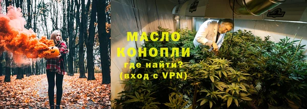 гидра Богородицк