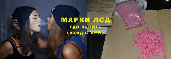 ПСИЛОЦИБИНОВЫЕ ГРИБЫ Богданович