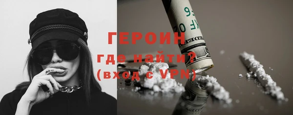 гидра Богородицк