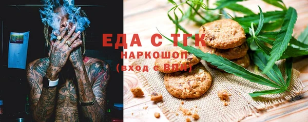 гидра Богородицк