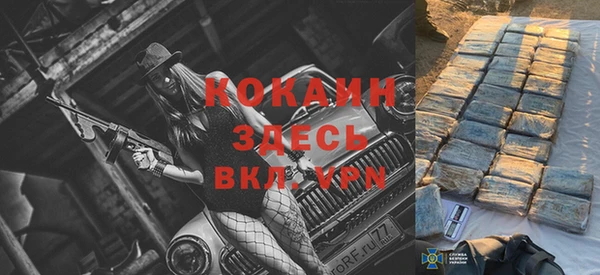 ПСИЛОЦИБИНОВЫЕ ГРИБЫ Богданович