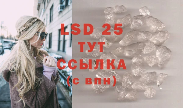 ПСИЛОЦИБИНОВЫЕ ГРИБЫ Богданович