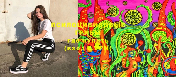 ПСИЛОЦИБИНОВЫЕ ГРИБЫ Богданович