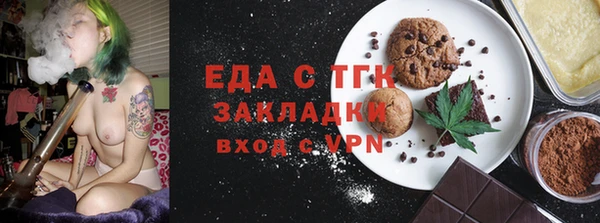гидра Богородицк