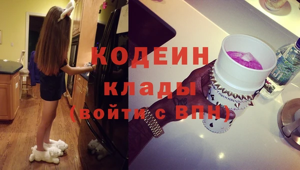 ПСИЛОЦИБИНОВЫЕ ГРИБЫ Богданович