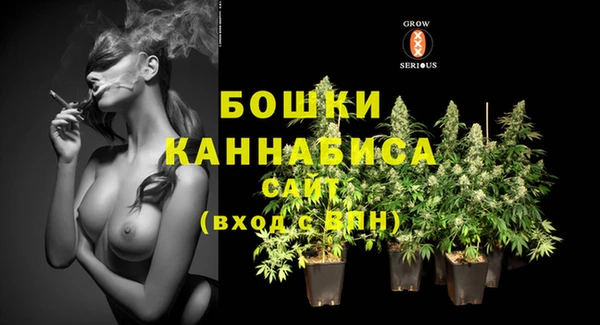 гидра Богородицк