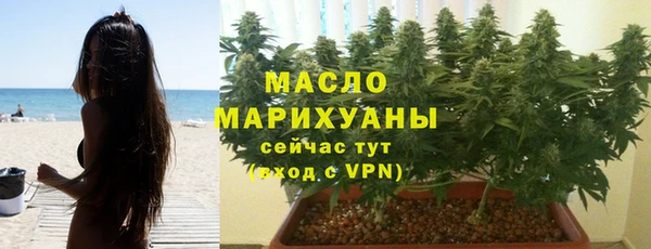 гидра Богородицк