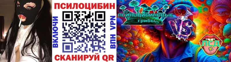 Псилоцибиновые грибы Psilocybe  Купить где  Карабаш 