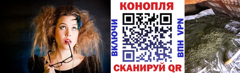 Купить где  Карабаш  Конопля планчик 